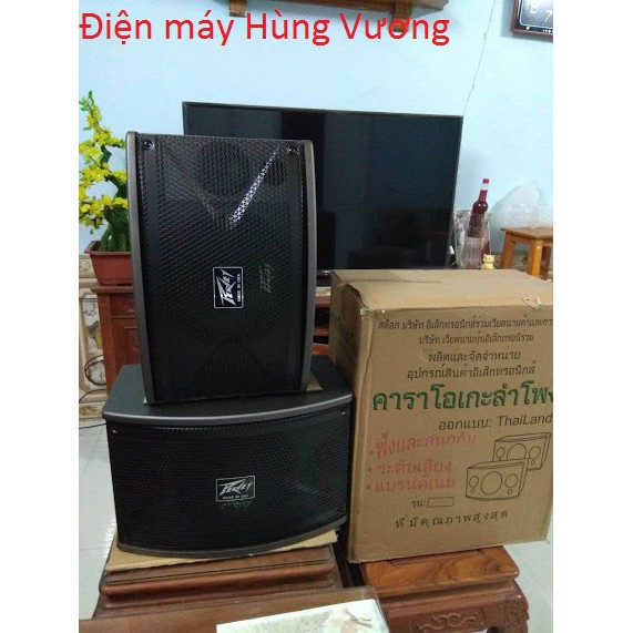 Loa Karaoke và nghe nhạc Peavey PV-471, Bas 25 cm, từ kép,Madein Thái Lan, Chất lượng hay, một đôi hai chiếc,12.5 kg chi