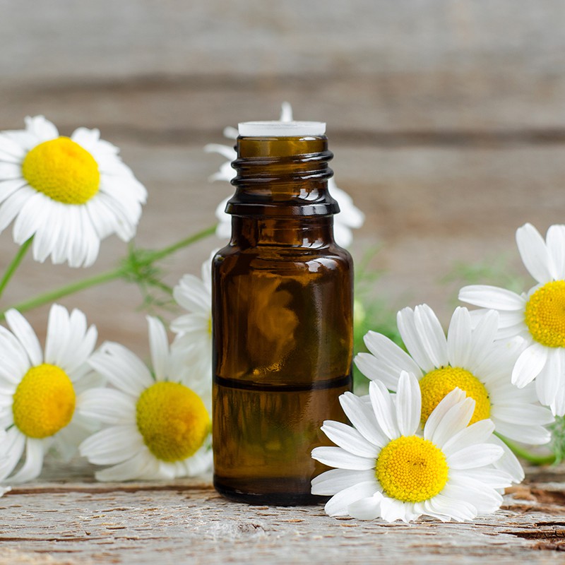 Tinh dầu Hoa Cúc Nguyên Chất 30% | Daisy Flower Oil Pure 30% | 10-30ml