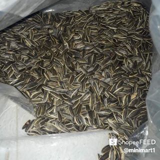 5kg HƯỚNG DƯƠNG VỊ DỪA CHACHEER
