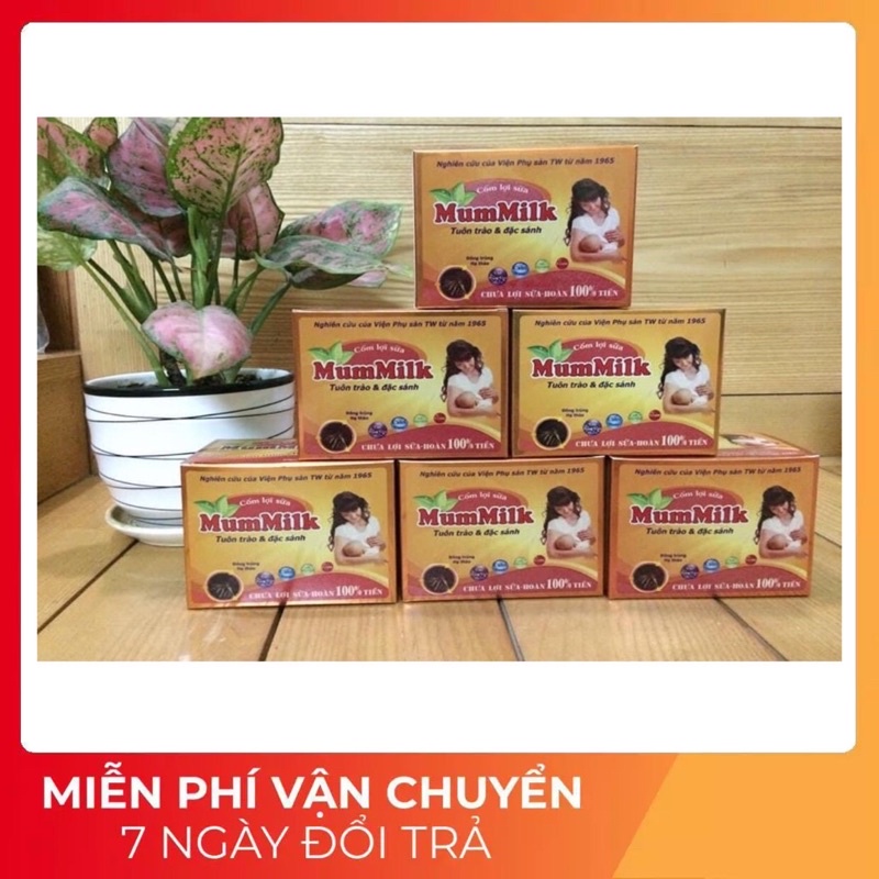 sỉ 10 hộp cốm mummilk