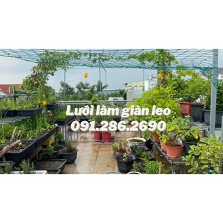 Lưới làm giàn cây leo