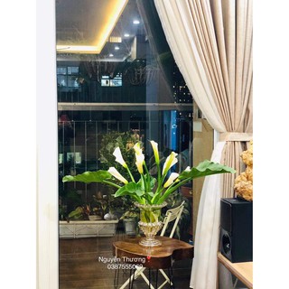 Ly thủy tinh cắm hoa ánh vàng
