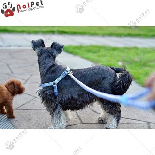 Dây Dắt Kèm Yếm Ngực Chấm Chỉ DDYN008 Cho Thú Cưng