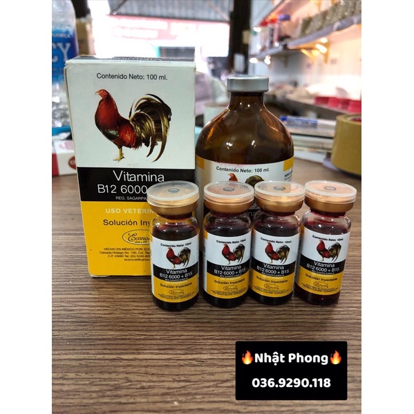 VITAMINA B12 6000+B15 (Nuôi cao cấp dành cho Chiến Kê)