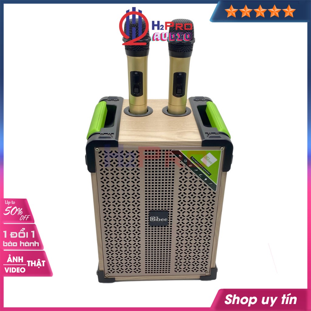 Loa karaoke di động, loa kéo bluetooth Sibee XY2208 hát karaoke cao cấp bass 20 200W, USB, thẻ nhớ, AUX - Shop H2pro