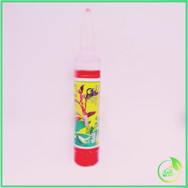Giâm chiết cành 1 hộp 10 lọ