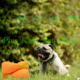 [FREESHIP 99K TOÀN QUỐC] Đồ chơi cho thú cưng  - Phụ_Kiện_Pet_Shop