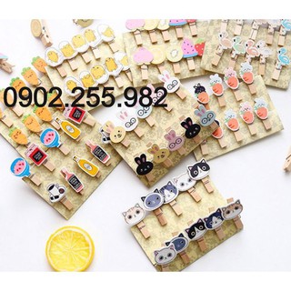 Set 10 kẹp gỗ trang trí kèm sợi dây thừng