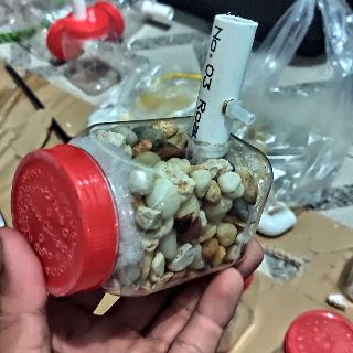 Lọc bio cá guppy 7màu