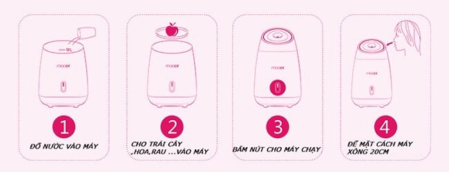 Máy Xông hơi mặt hoa quả cao cấp