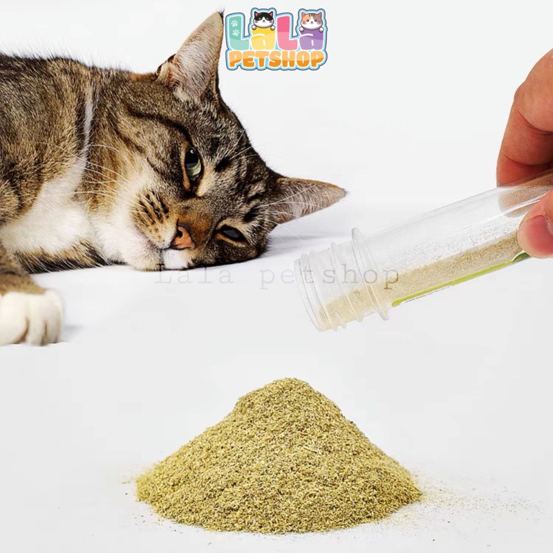 Cỏ Bạc Hà Cho Mèo, Cỏ Bạc Hà Catnip, CatMint 10g, LaLaPetShop