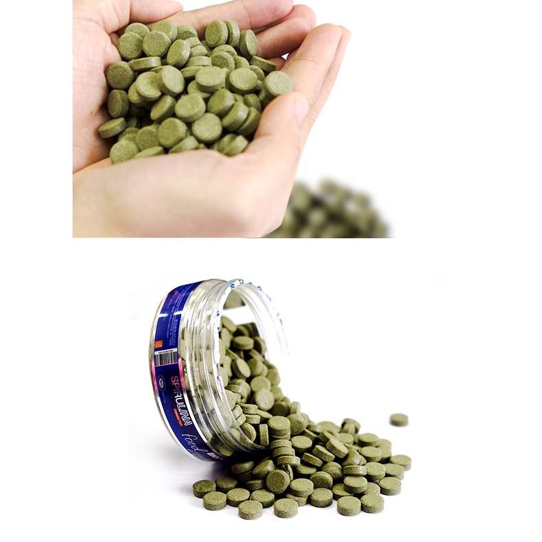 Thức ăn dán BioZym cao cấp - Cám viên dán cho cá cảnh - cám dán viên tảo- viên thịt-  thức ăn dán thủy sinh - shopleo