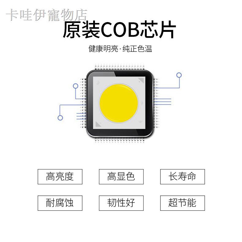 Đèn Led Trang Trí Bể Cá Hình Rồng Độc Đáo