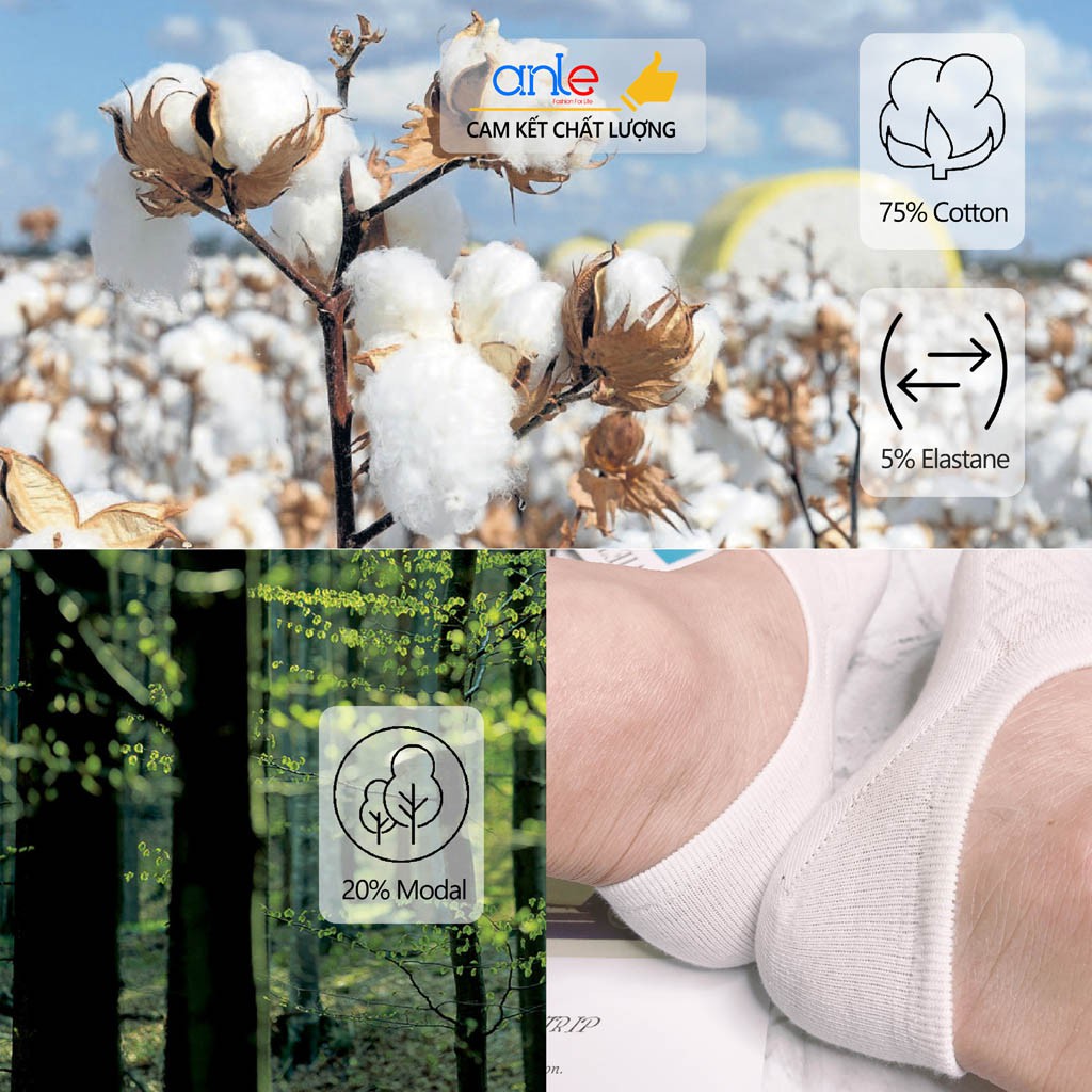 Tất lười nam nữ Vớ hài Cotton sợi Modal cao cấp xuất Nhật khử mùi thấm hút mồ hôi - Anle Store