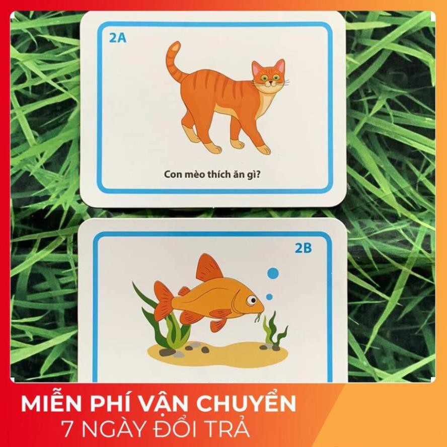 Bộ thẻ học thông minh Flashcard 5 chủ đề 300 câu hỏi- trả lời Phát triển Ngôn ngữ Giao tiếp, tư duy cho bé