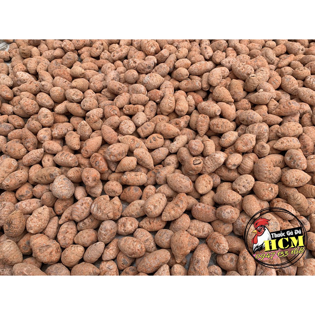 Củ Nghệ Đỏ (Nghệ Xà Cừ) Cho Gà Đá Cao Cấp
