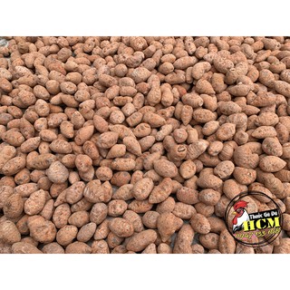 Củ Nghệ Đỏ (Nghệ Xà Cừ) Cho Gà Đá Cao Cấp