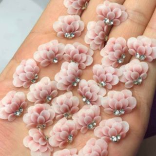 Hoa bột- cúc tầng
