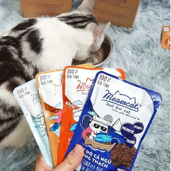 Pate MeowCat 9 hương vị cho mèo gói 70g [CHÍNH HÃNG]