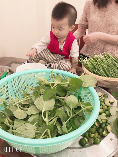 Siro Ho Thảo Mộc Dân Gian Điềm Kim | BigBuy360 - bigbuy360.vn