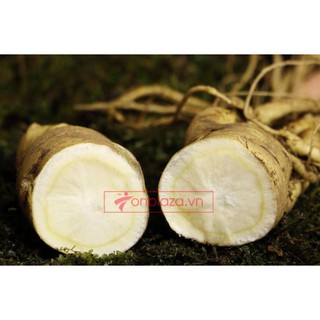 Nhân Sâm Tươi Hàn Quốc 8 củ/kg