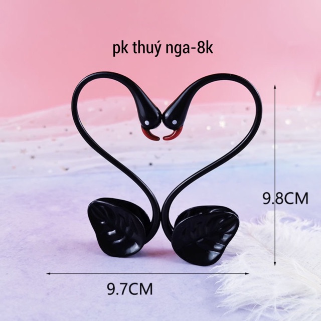 5 Đôi thiên nga trái tim đen,trắng