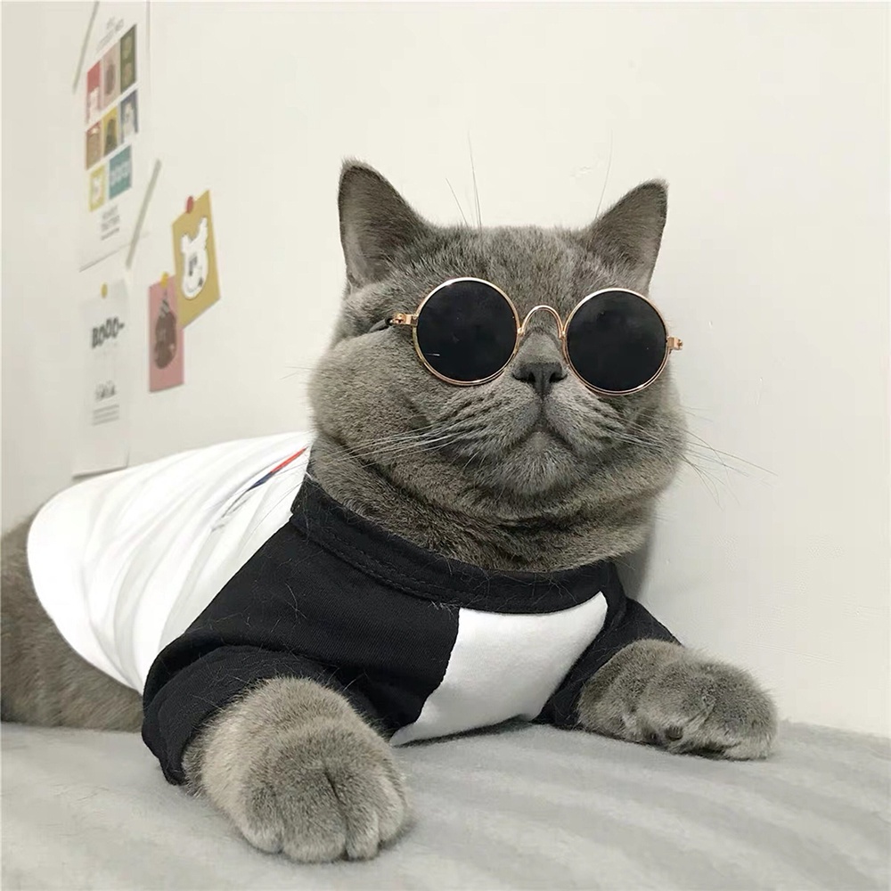 Kính mát sành điệu thời trang cho chó mèo cưng