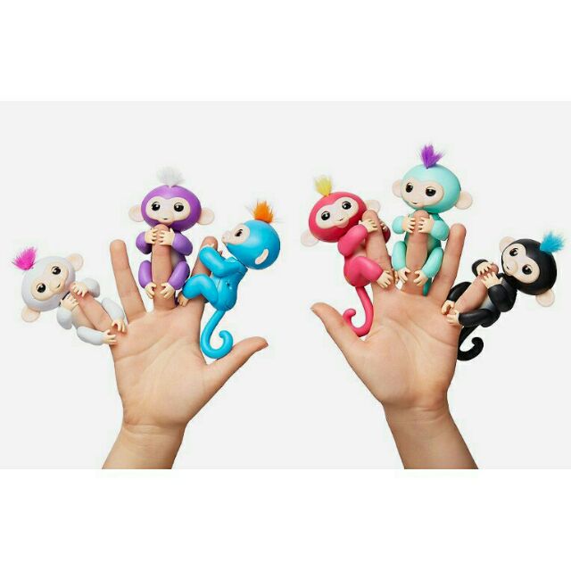 Khỉ bám ngón tay Fingerlings Monkey