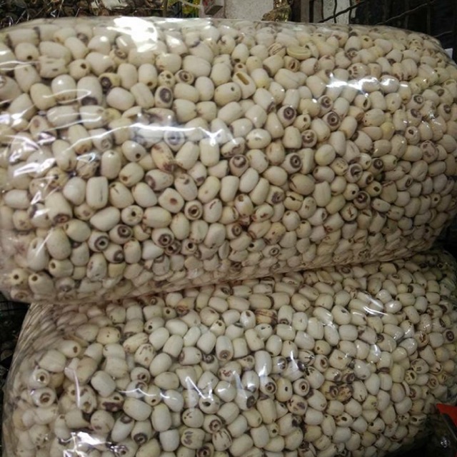 Hạt Sen Huế #1 kg