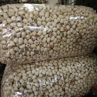 Hạt sen huế #1 kg