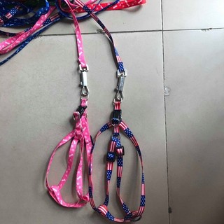 Dây dắt chó mèo dây yếm mỏng