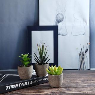 Set 3 Cây Sen Đá Giả Dùng Để Trang Trí