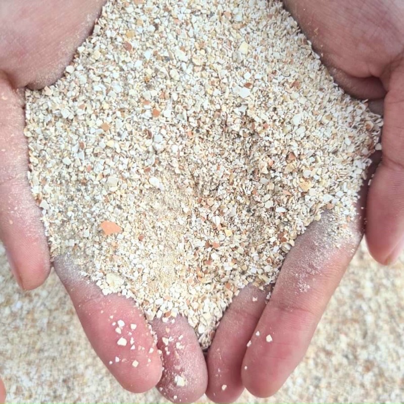 Vỏ trứng gà Sfarm đã qua xử lý