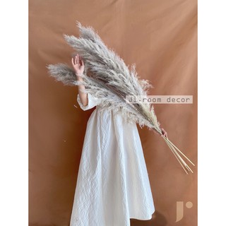 Hoa cỏ lau - HÌNH THẬT- lau bông - màu xám tím (ghi)- bán lẻ 140k/hoa