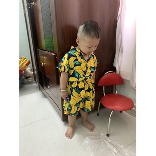 SET ĐỒ TRÁI CÂY CHO BÉ ĐỦ MẪU