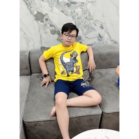 Bộ quần áo cộc tay cotton 100% xuất dư bé trai size đại VNXK