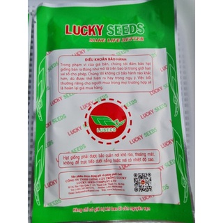 HẠT GIỐNG RAU MẦM CỦ CẢI ĐỎ