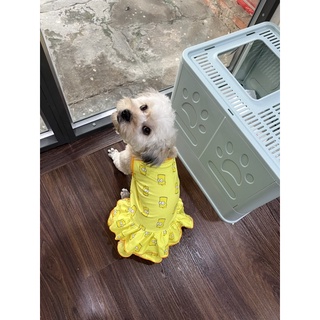 Váy Xoè 2 dây cho chó mèo