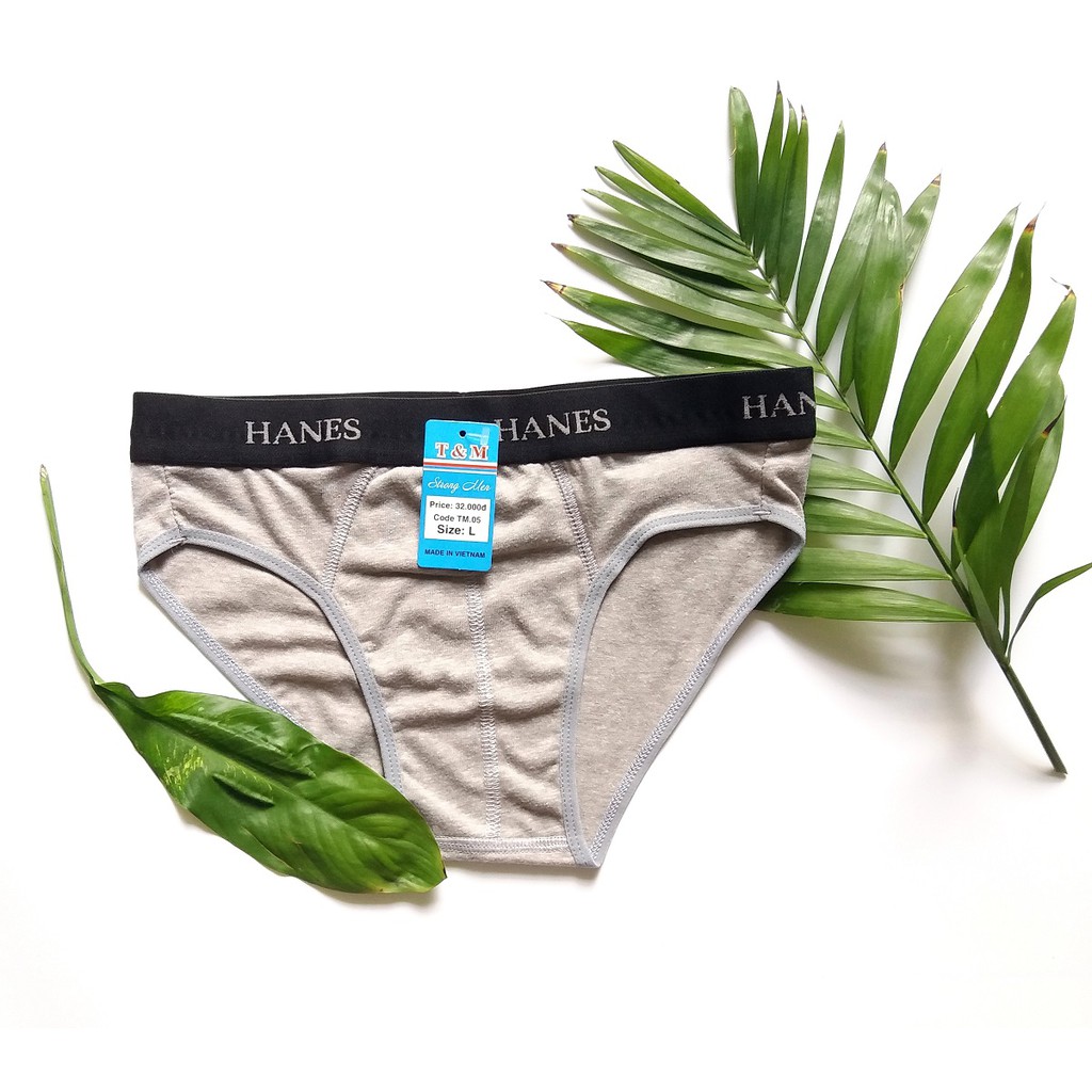 Quần sịp nam, Quần lót nam cotton 4 chiều, co giãn, thấm hút mồ hôi, thoáng mát - nhiều mẫu lưng- Hàng VN