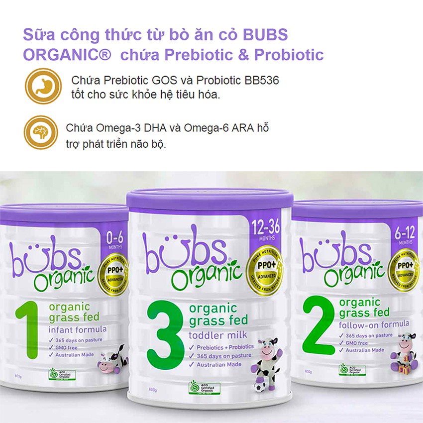 Sữa Bột Bò Hữu Cơ Bubs Organic Số 3 800g