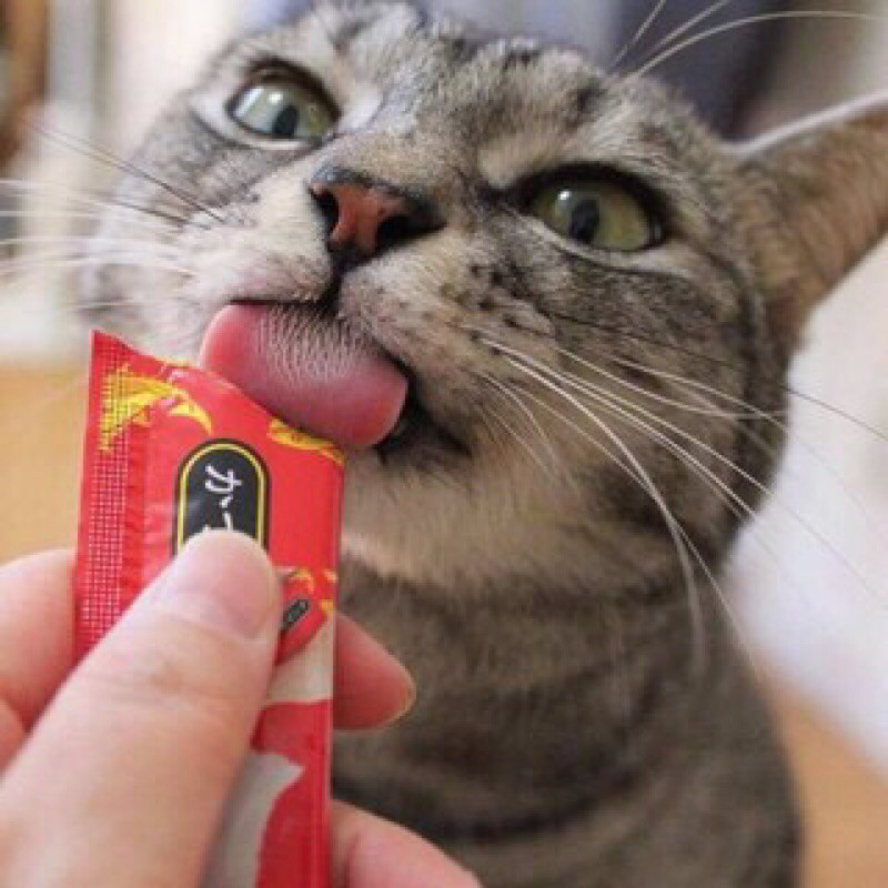 Pate Ciao gói 60g dành Cho Mèo