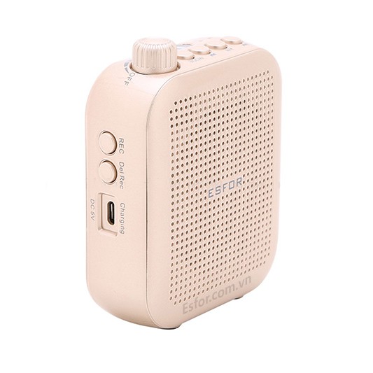 Máy trợ giảng Hàn Quốc ESFOR ES-350 Plus và ES-350 UHF, loa Bluetooth song song 2 Mic, Không dây