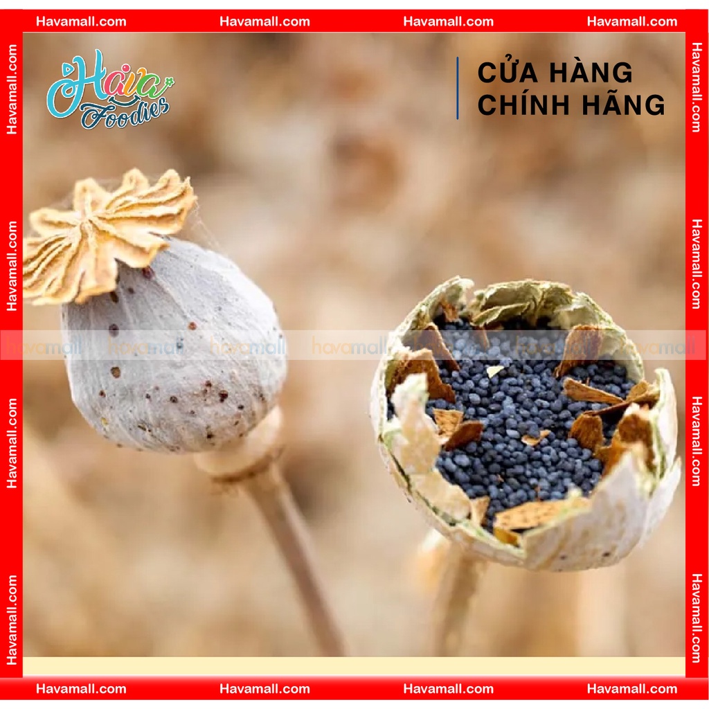 Hạt Hoa Anh Túc Havafood - Poppy Seed