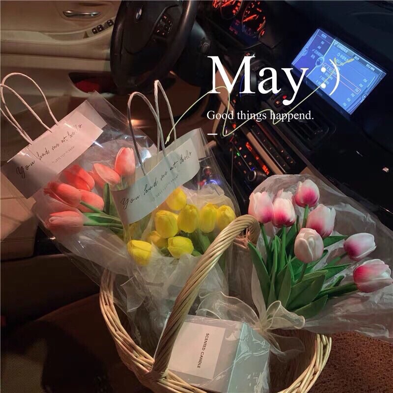 Hoa Tulip Loại Bông Lớn Nhiều Màu Siêu Xinh.