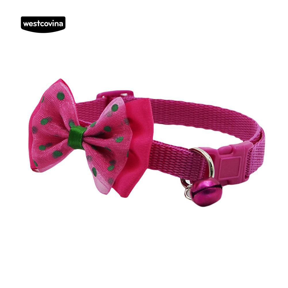 Vòng cổ có gắn chuông cho thú cưng