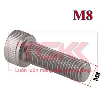 Bulong LGC đầu trụ inox 304 M8.0
