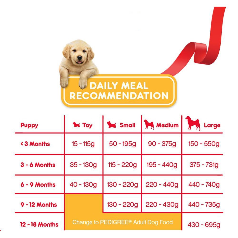 THỨC ĂN HẠT CHO CHÓ CON Pedigree Vị thịt gà trứng và sữa Gói 400g Bổ sung dinh dưỡng Xuất xứ Thái Lan