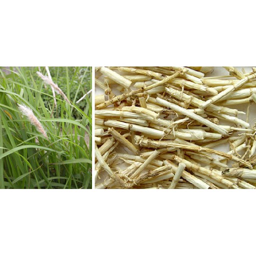 1KG RỄ CỎ TRANH KHÔ