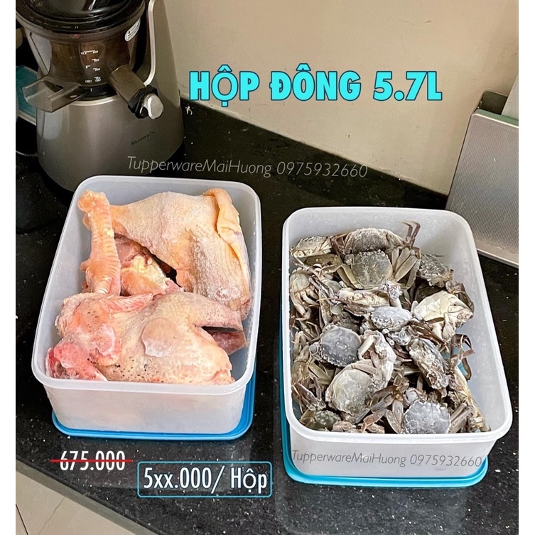 Hộp trữ đông freezermate 5.7l đựng vừa 2 con gà
