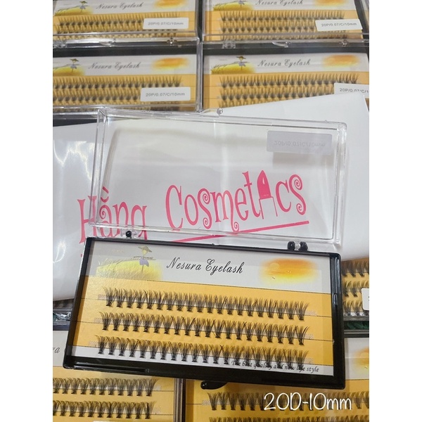 Mi Chùm vàng 10D -20D